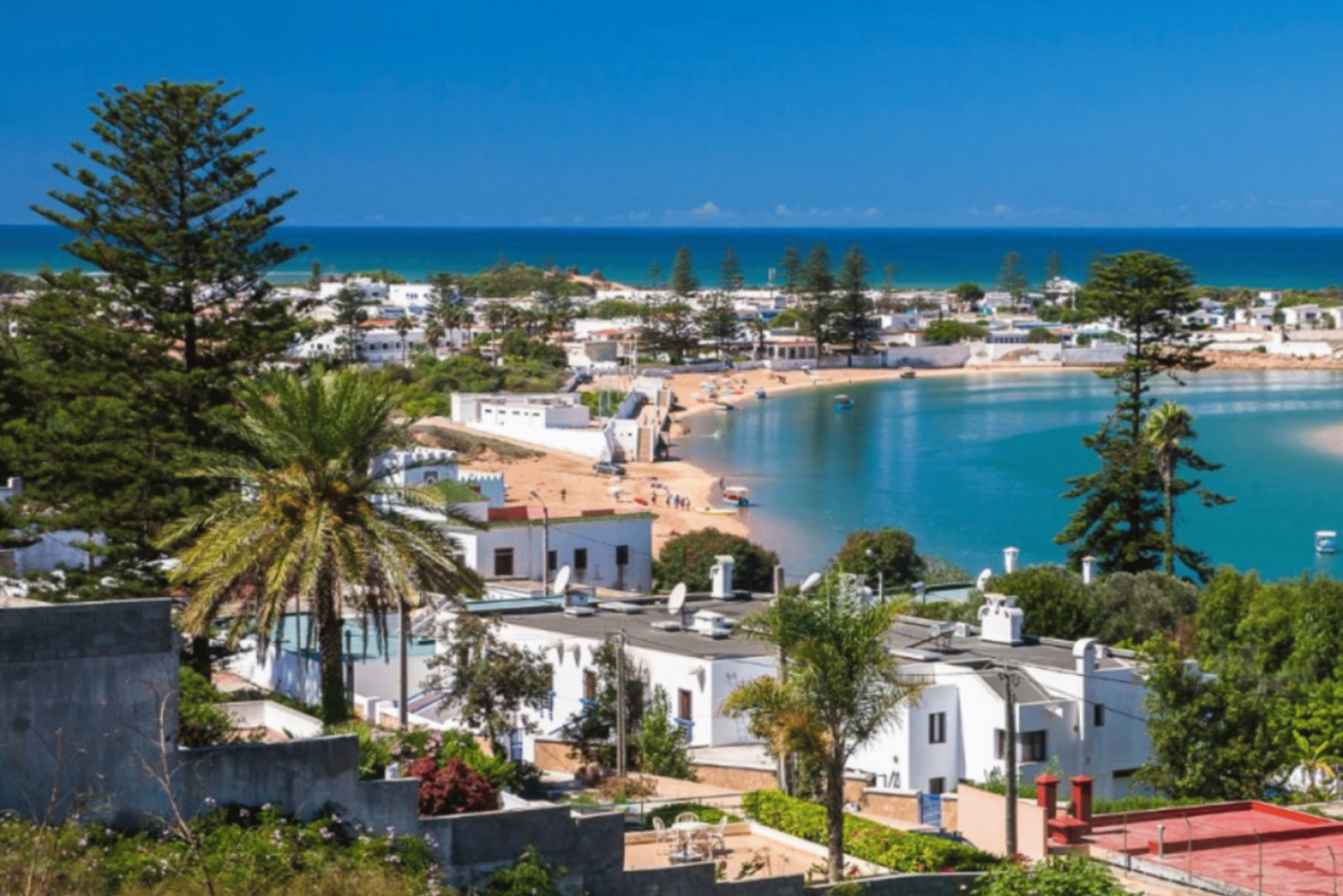 Marrakech: Oualidia y Safi en la costa atlántica, excursión de un día