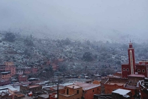 Marrakech: excursión de un día al valle de Ourika con guía local a las cascadas.