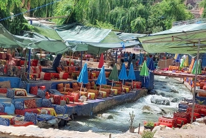 Marrakech: excursión de un día al valle de Ourika con guía local a las cascadas.