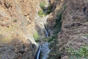 Marrakech: excursión de un día al valle de Ourika con guía local a las cascadas.