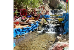 Marrakech: excursión de un día al valle de Ourika con guía local a las cascadas.