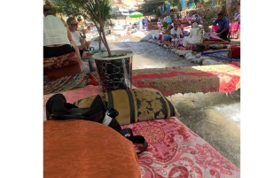 Marrakech: excursión de un día al valle de Ourika con guía local a las cascadas.