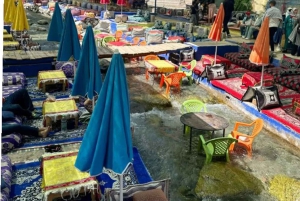 Marrakech: excursión de un día al valle de Ourika con guía local a las cascadas.