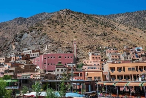 Marrakech : randonnée dans l'Atlas et les vallées, cascade et déjeuner