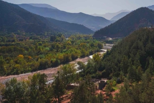 Marrakech : randonnée dans l'Atlas et les vallées, cascade et déjeuner