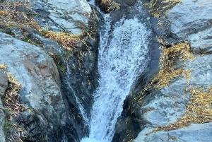 Marrakech : randonnée dans l'Atlas et les vallées, cascade et déjeuner