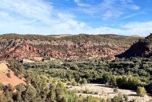 Marrakech : randonnée dans l'Atlas et les vallées, cascade et déjeuner