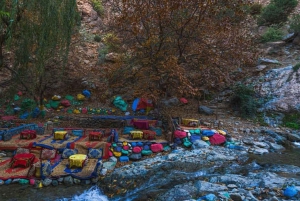 Marrakech : randonnée dans l'Atlas et les vallées, cascade et déjeuner