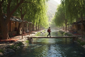 Marrakech : randonnée dans l'Atlas et les vallées, cascade et déjeuner