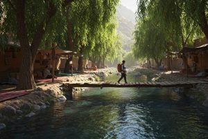 Marrakech : randonnée dans l'Atlas et les vallées, cascade et déjeuner