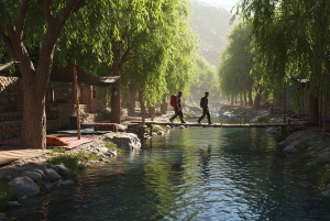 Marrakech : randonnée dans l'Atlas et les vallées, cascade et déjeuner