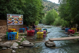 Marrakech : randonnée dans l'Atlas et les vallées, cascade et déjeuner
