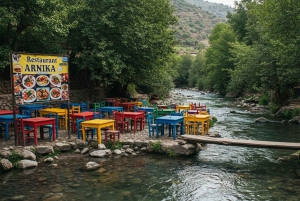 Marrakech : randonnée dans l'Atlas et les vallées, cascade et déjeuner