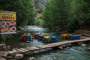 Marrakech : randonnée dans l'Atlas et les vallées, cascade et déjeuner