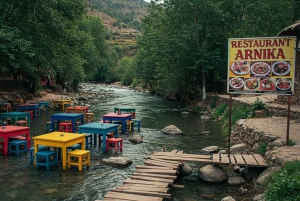 Marrakech : randonnée dans l'Atlas et les vallées, cascade et déjeuner