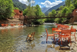 Marrakech : randonnée dans l'Atlas et les vallées, cascade et déjeuner