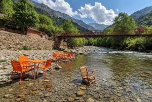 Marrakech : randonnée dans l'Atlas et les vallées, cascade et déjeuner
