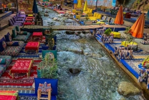 Marrakech : randonnée dans l'Atlas et les vallées, cascade et déjeuner