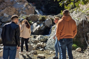 Marrakech: Ourika-laakson päiväretki vesiputouksilla ja lounaalla