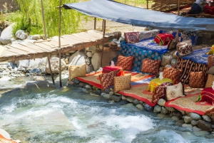 Marrakech: Ourika-laakson päiväretki vesiputouksilla ja lounaalla