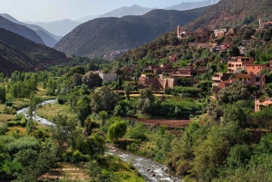 Marrakech: Ourika-laakson päiväretki vesiputouksilla ja lounaalla