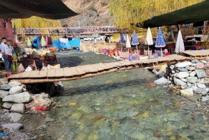 Marrakech: Ourika-laakson päiväretki vesiputouksilla ja lounaalla