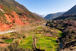 Marrakech : randonnée dans l'Atlas et les vallées, cascade et déjeuner