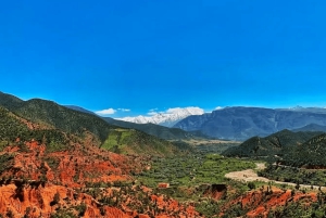 Marrakech : randonnée dans l'Atlas et les vallées, cascade et déjeuner