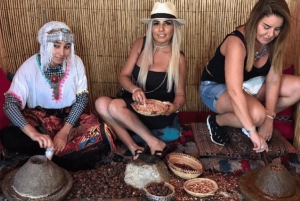 Marrakech : randonnée dans l'Atlas et les vallées, cascade et déjeuner