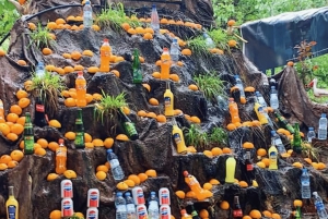 Marrakech : randonnée dans l'Atlas et les vallées, cascade et déjeuner