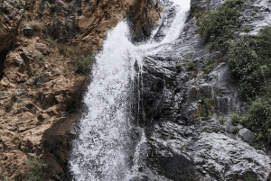 Marrakech : randonnée dans l'Atlas et les vallées, cascade et déjeuner