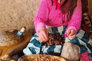 Marrakech : randonnée dans l'Atlas et les vallées, cascade et déjeuner