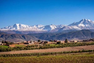 Marrakech : randonnée dans l'Atlas et les vallées, cascade et déjeuner