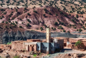 Marrakech : randonnée dans l'Atlas et les vallées, cascade et déjeuner