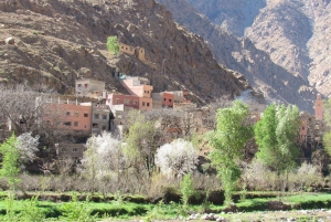 マラケシュ発：ウリカ渓谷＆滝ツアー