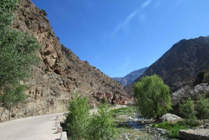 マラケシュ発：ウリカ渓谷＆滝ツアー