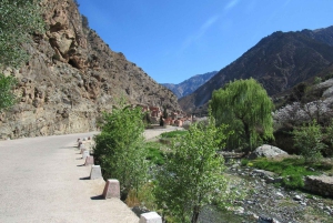 マラケシュ発：ウリカ渓谷＆滝ツアー