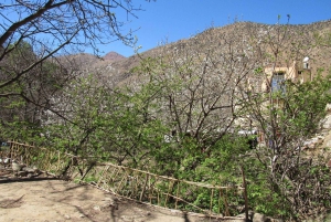 マラケシュ発：ウリカ渓谷＆滝ツアー