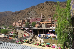 マラケシュ発：ウリカ渓谷＆滝ツアー