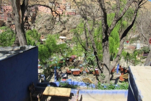 マラケシュ発：ウリカ渓谷＆滝ツアー