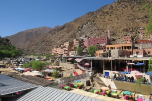 マラケシュ発：ウリカ渓谷＆滝ツアー