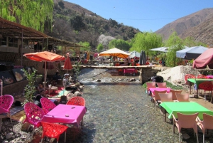 マラケシュ発：ウリカ渓谷＆滝ツアー