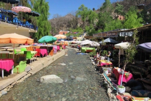 マラケシュ発：ウリカ渓谷＆滝ツアー