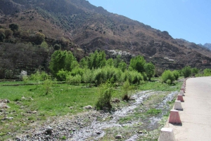マラケシュ発：ウリカ渓谷＆滝ツアー