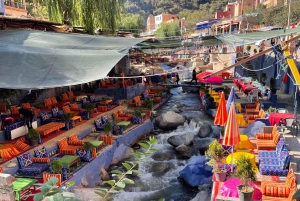 Marrakech: tour nella valle dell'Ourika con escursione, cascate e pranzo