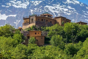 Marrakech: tour nella valle dell'Ourika con escursione, cascate e pranzo