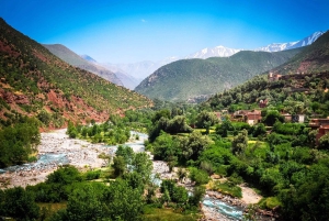 Marrakech: tour nella valle dell'Ourika con escursione, cascate e pranzo