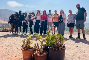 Marrakech: tour nella valle dell'Ourika con escursione, cascate e pranzo