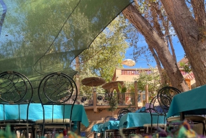 Marrakech: tour nella valle dell'Ourika con escursione, cascate e pranzo