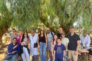 Marrakech: tour nella valle dell'Ourika con escursione, cascate e pranzo